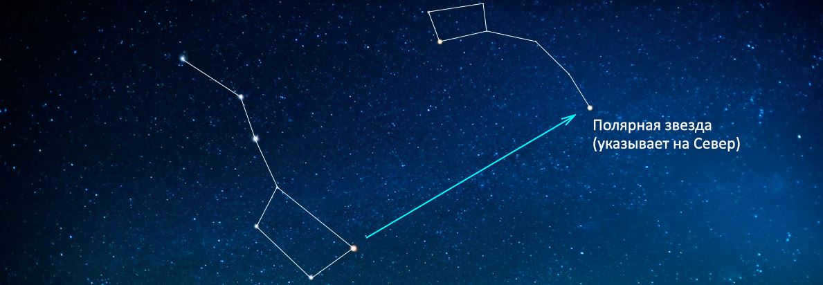 Polar Bear is the constellation with the most famous Polaris.