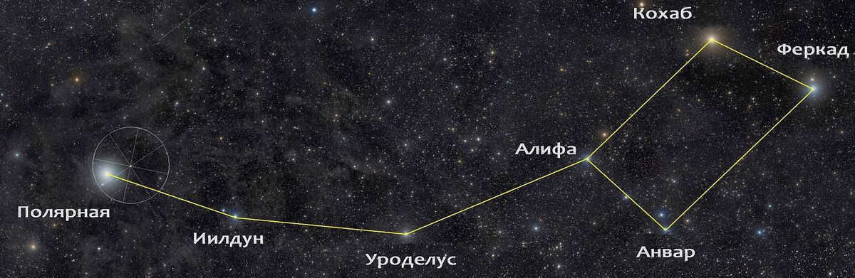 The Little Bear is the constellation with the most famous Polaris