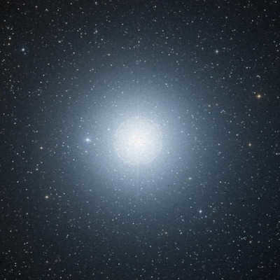 Procyon