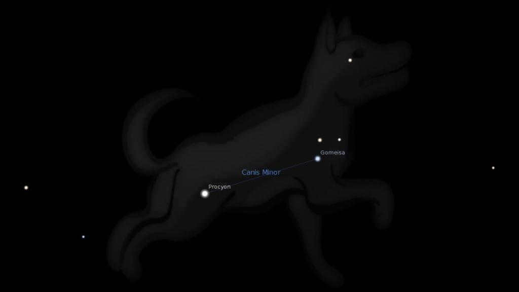 Procyon star