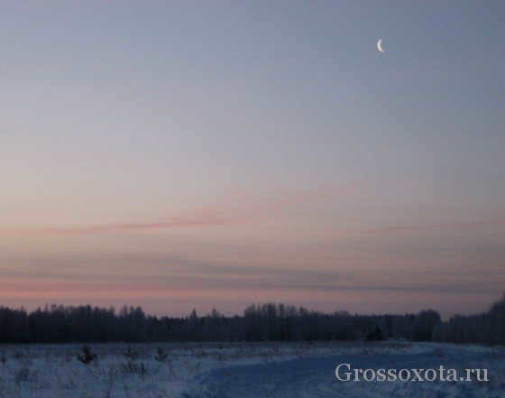 The Sun is from the North or from the South. Where is the Sun at noon and how do you use this information to orient yourself on the ground?