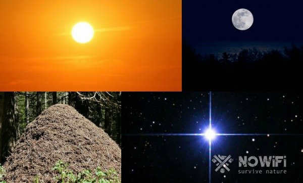 How to determine the sides of the world without a compass