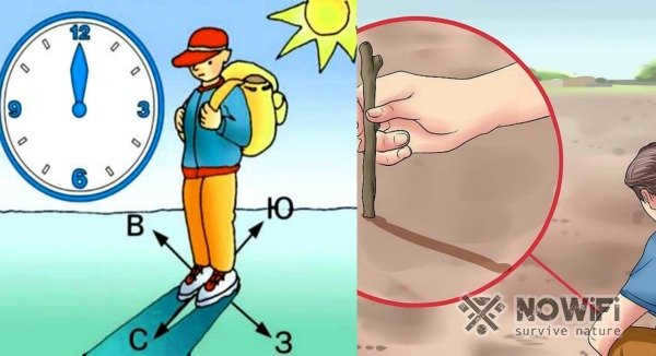 How to tell the sides of the world by the shadow