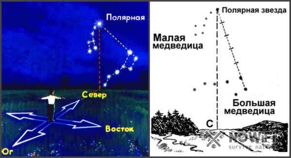 How to determine the sides of the world by the polar star