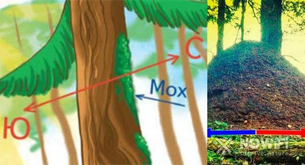 How to determine the sides of the world by objects