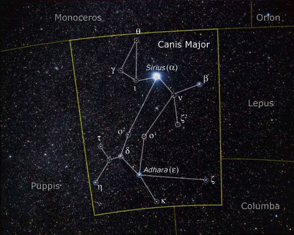 Stars of the Big Dog constellation