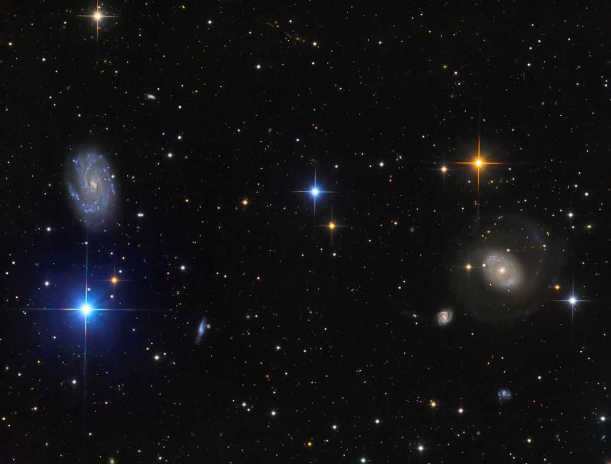 The constellation of the Hound Dogs