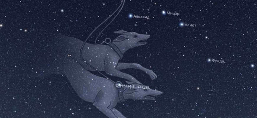 The constellation of the Hound Dogs
