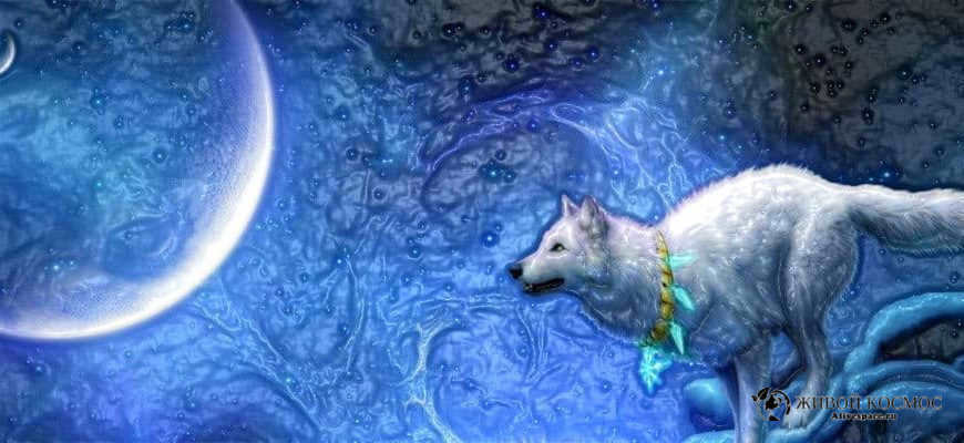 Hound Dog constellation facts