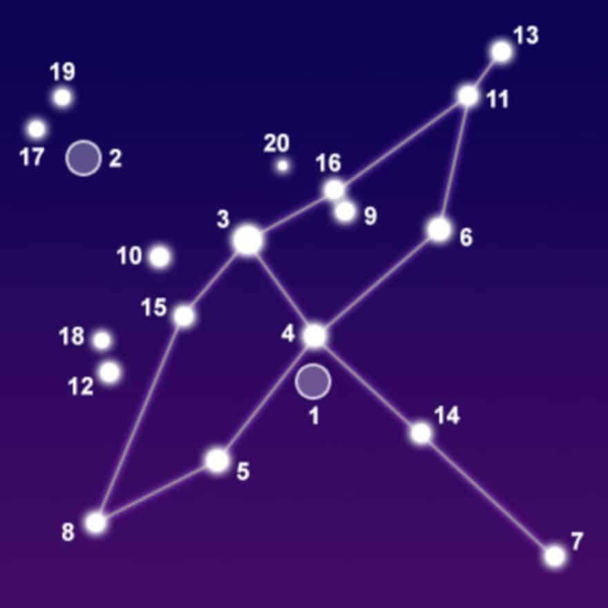 The constellation Swan