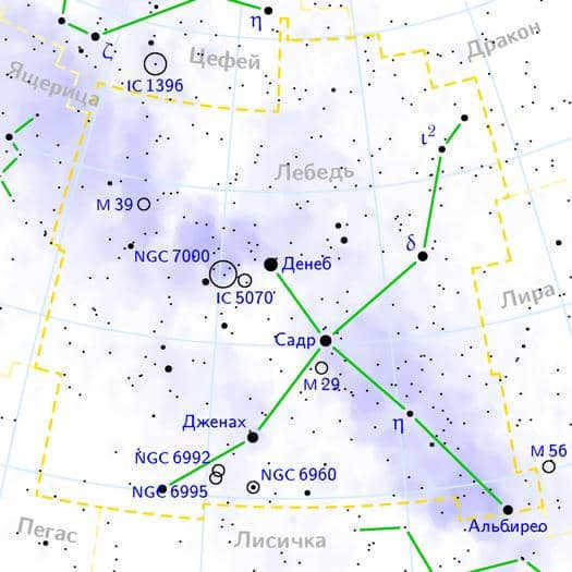Constellation Swan