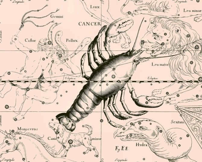 constellation of cancer