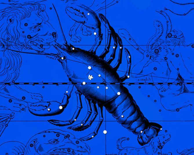 Constellation Cancer. Collage from the atlas of Jan Hevelius.