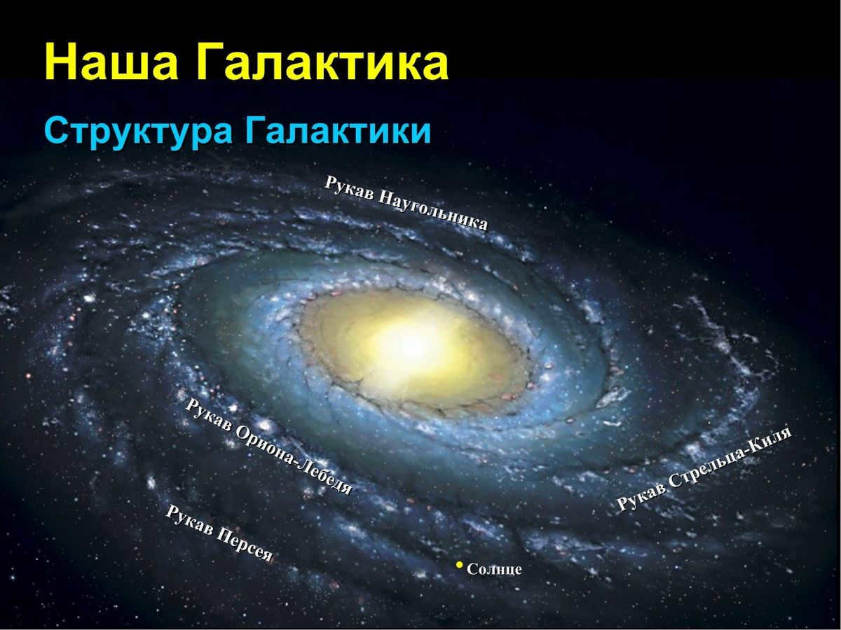 The Sun's place in the galaxy