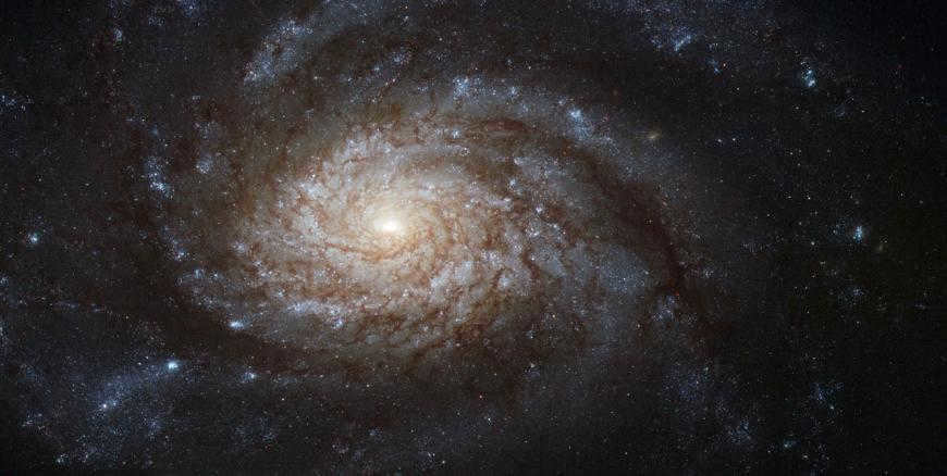 The composition of the galaxy