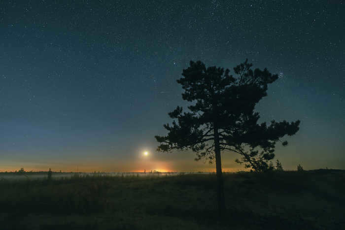 Sony a7iii, Sigma, Astrophotos, Astrophoto, Starry Sky, Milky Way, Perseids, Longpost