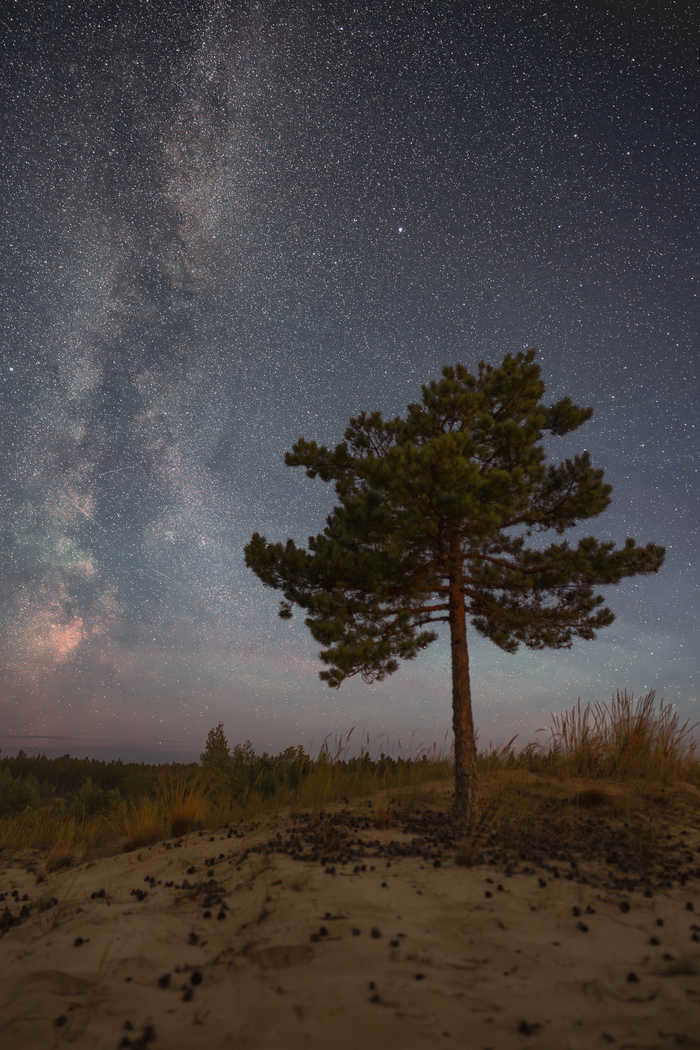Sony a7iii, Sigma, Astrophotos, Astrophoto, Starry Sky, Milky Way, Perseids, Longpost