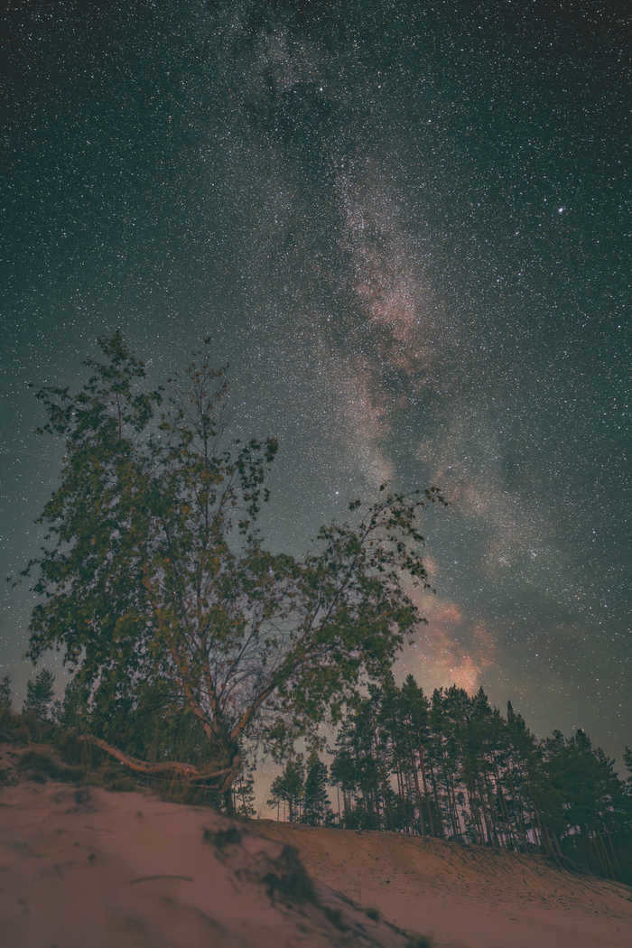 Sony a7iii, Sigma, Astrophoto, Astrophoto, Starry sky, Milky Way, Perseids, Longpost