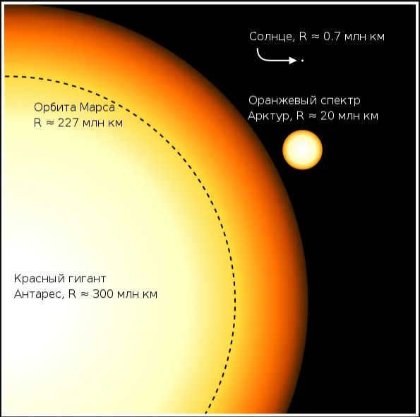 Stellar orbit