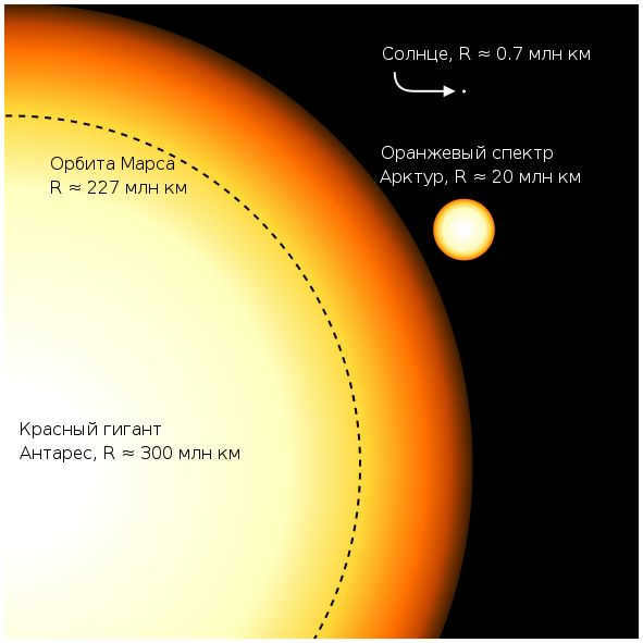 Comparison of the sizes of Antares, Arcturus, the Sun, and the orbit of Mars