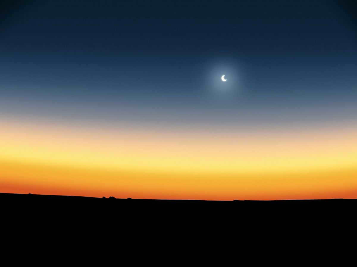 Moon at dawn