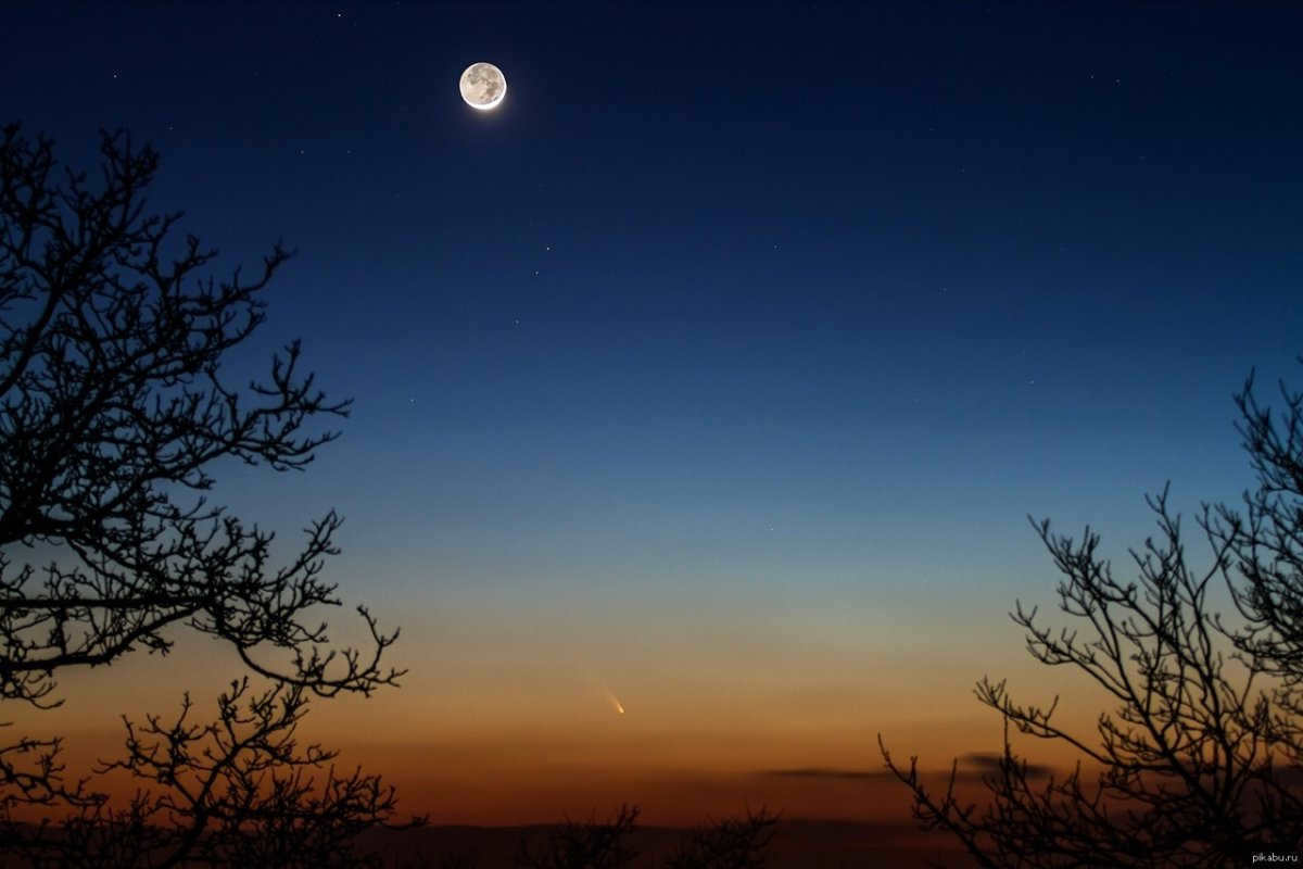 Month in the Evening Sky