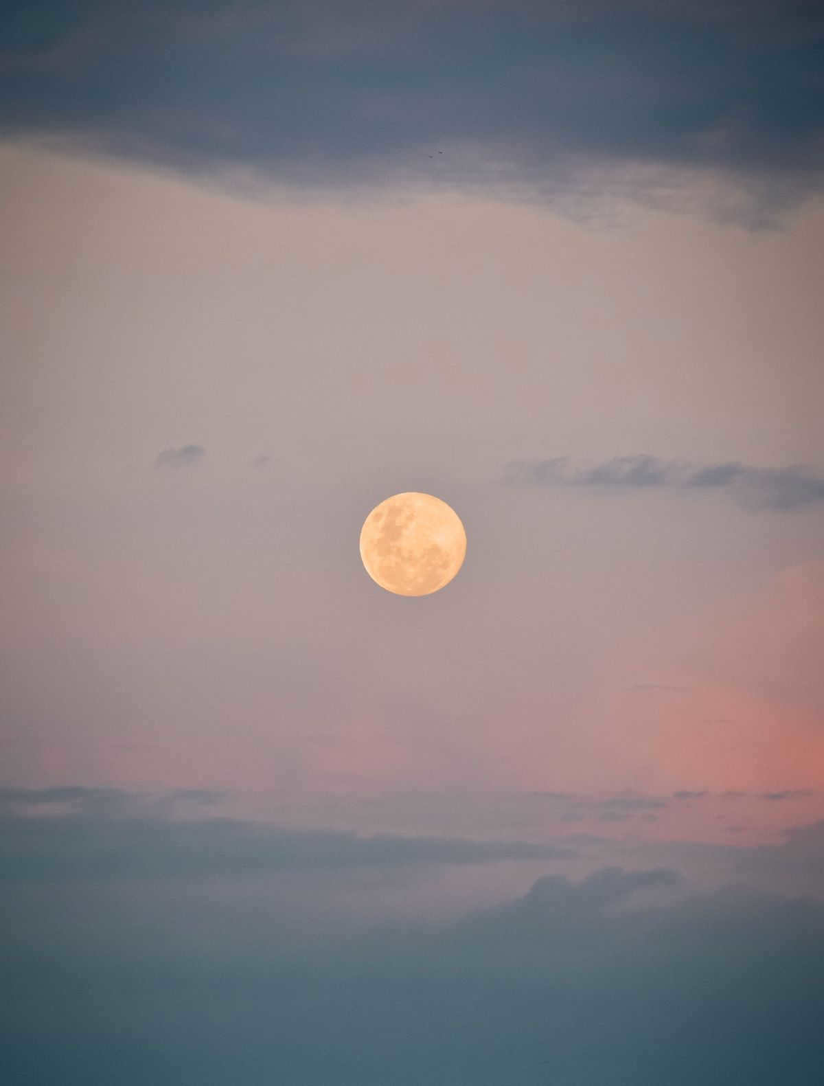 Sun and Moon in the sky