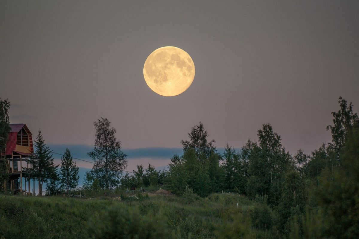 Summer Moon