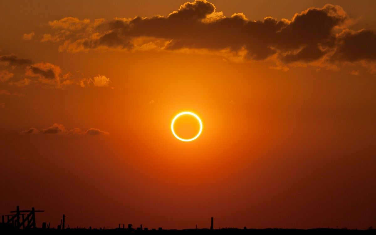 Solar Eclipse Tomato