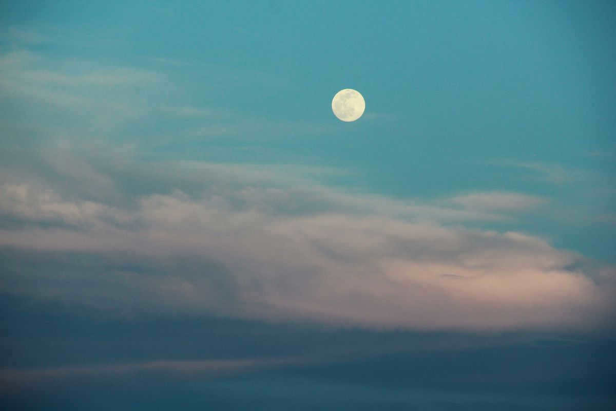 Evening sky with the moon