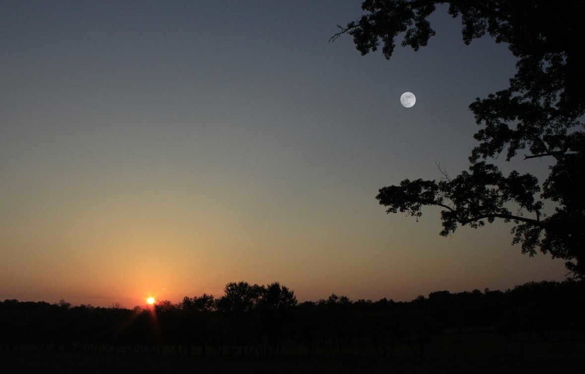 Sun and Moon