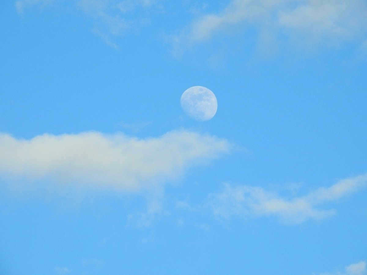 Moon in the daytime sky