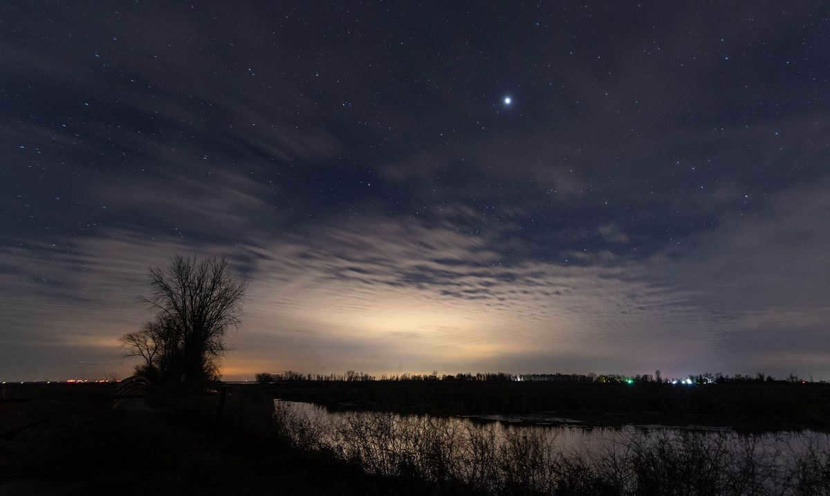 What Jupiter looks like to the naked eye