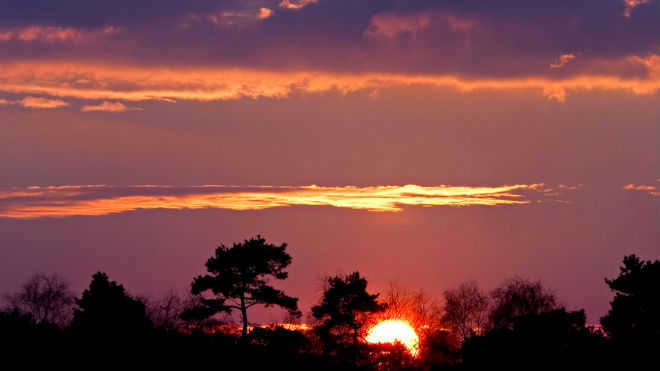 Sunset