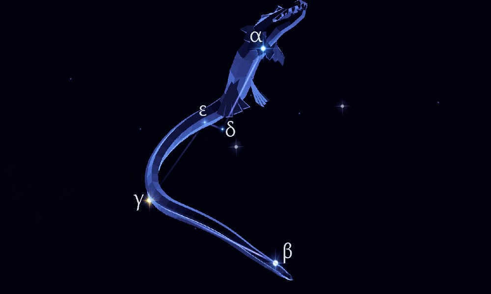Stars of the constellation Southern Hydra