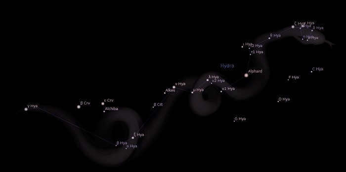 Hydra stars