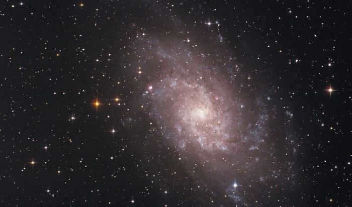 Local group of galaxies