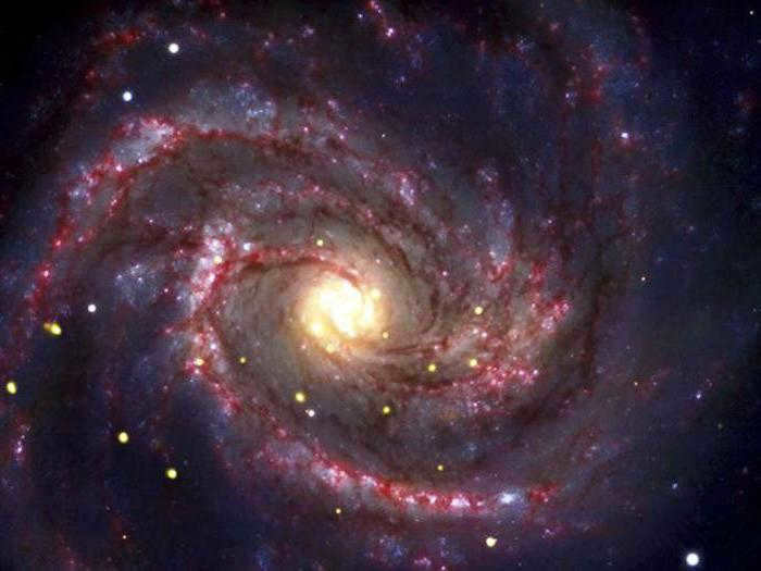 What objects make up the universe