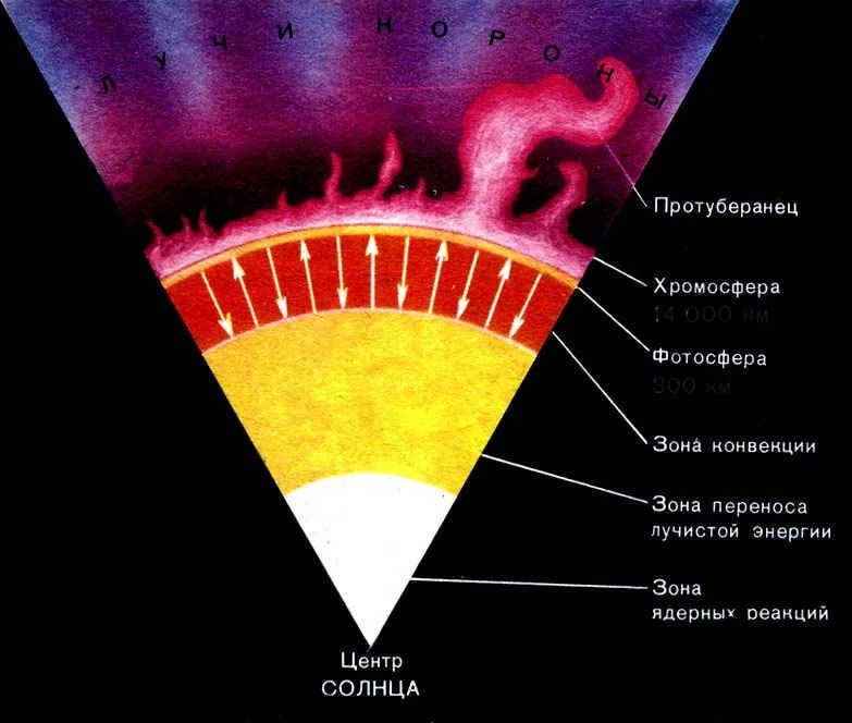 Internal structure of the Sun's interior: core, convection zone, photosphere and chromosphere, solar corona.