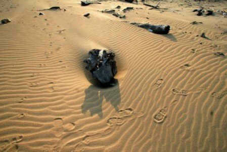 Find a lunar meteorite