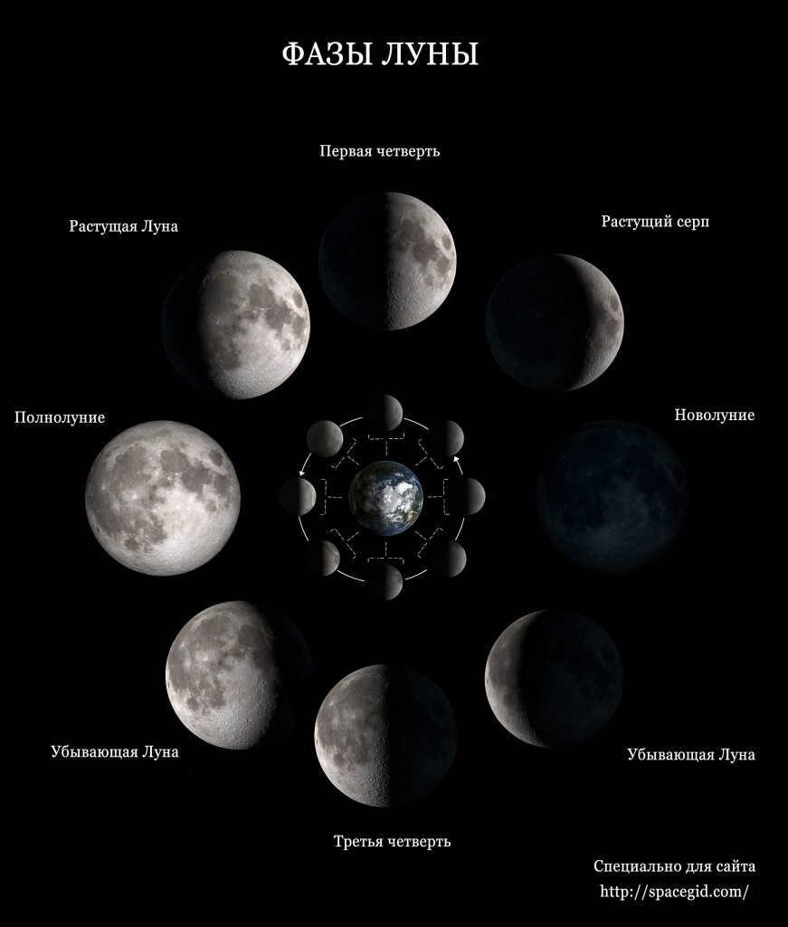Phases of the Moon