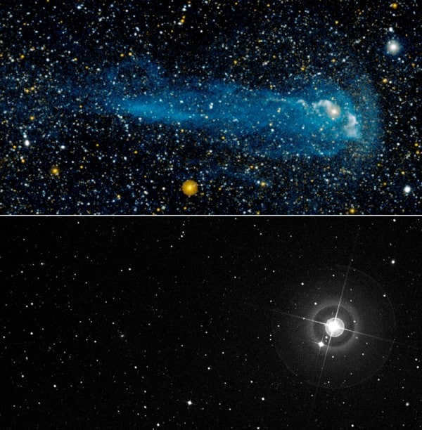 Variable star Mira, whose tail can be observed only in the ultraviolet range
