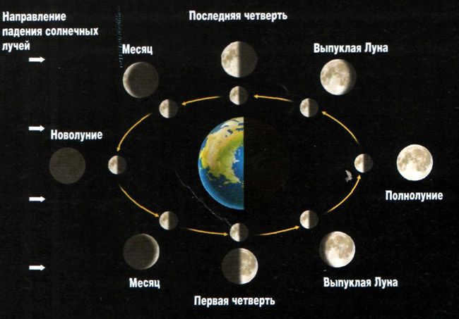 Lunar phases