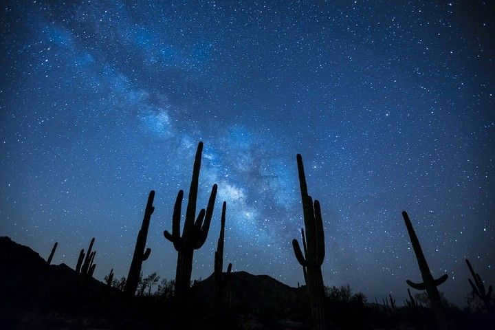 starry night