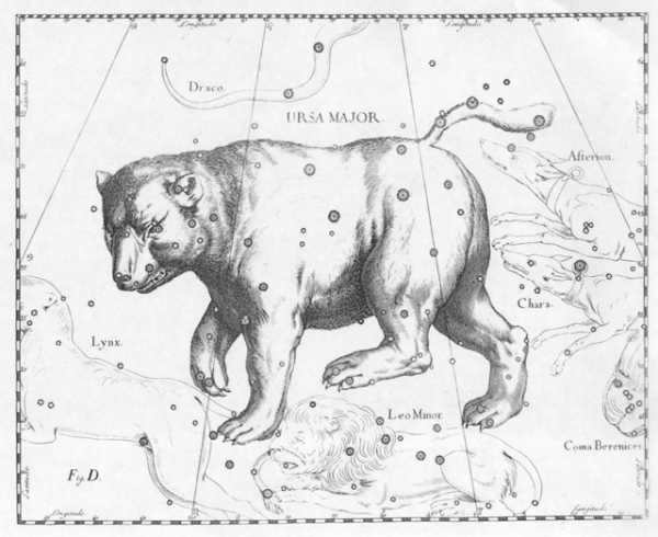 The constellation of the Big Dipper in Jan Hevelius' atlas.