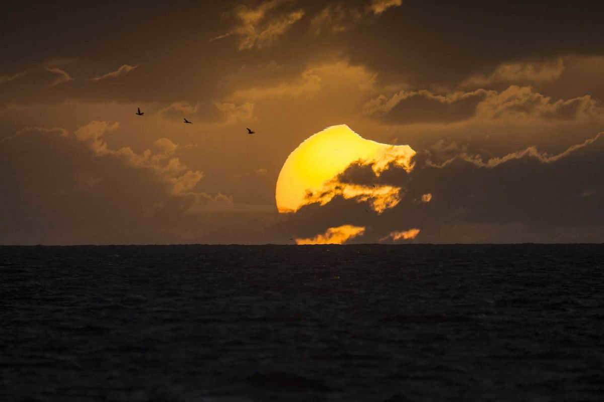 Photographs taken by amateur astronomers of the solar eclipse: