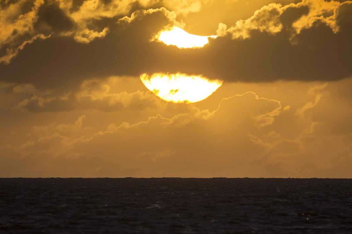 Photographs of the solar eclipse taken by amateur astronomers: