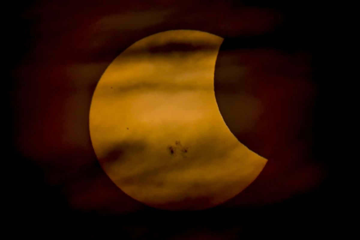 Photographs of the solar eclipse taken by amateur astronomers: