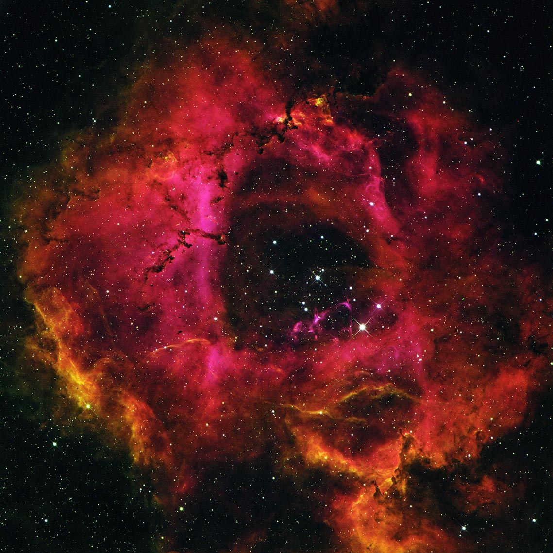 Rosette nebula (Rosette nebula or 