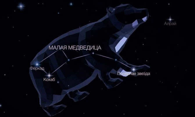 The constellation of the Little Bear